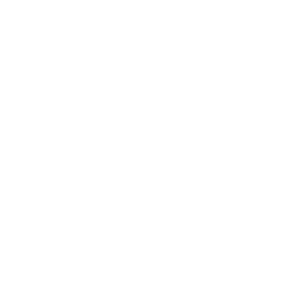 Logo IDD